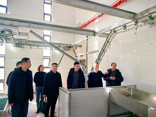 浙江省畜牧农机发展中心赴宁海检查家畜定点屠宰厂GMP建设情况