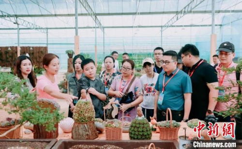 福建稳经济观察 云端之城推动文旅康养产业发展，定边农业之声奏响乡村振兴新乐章